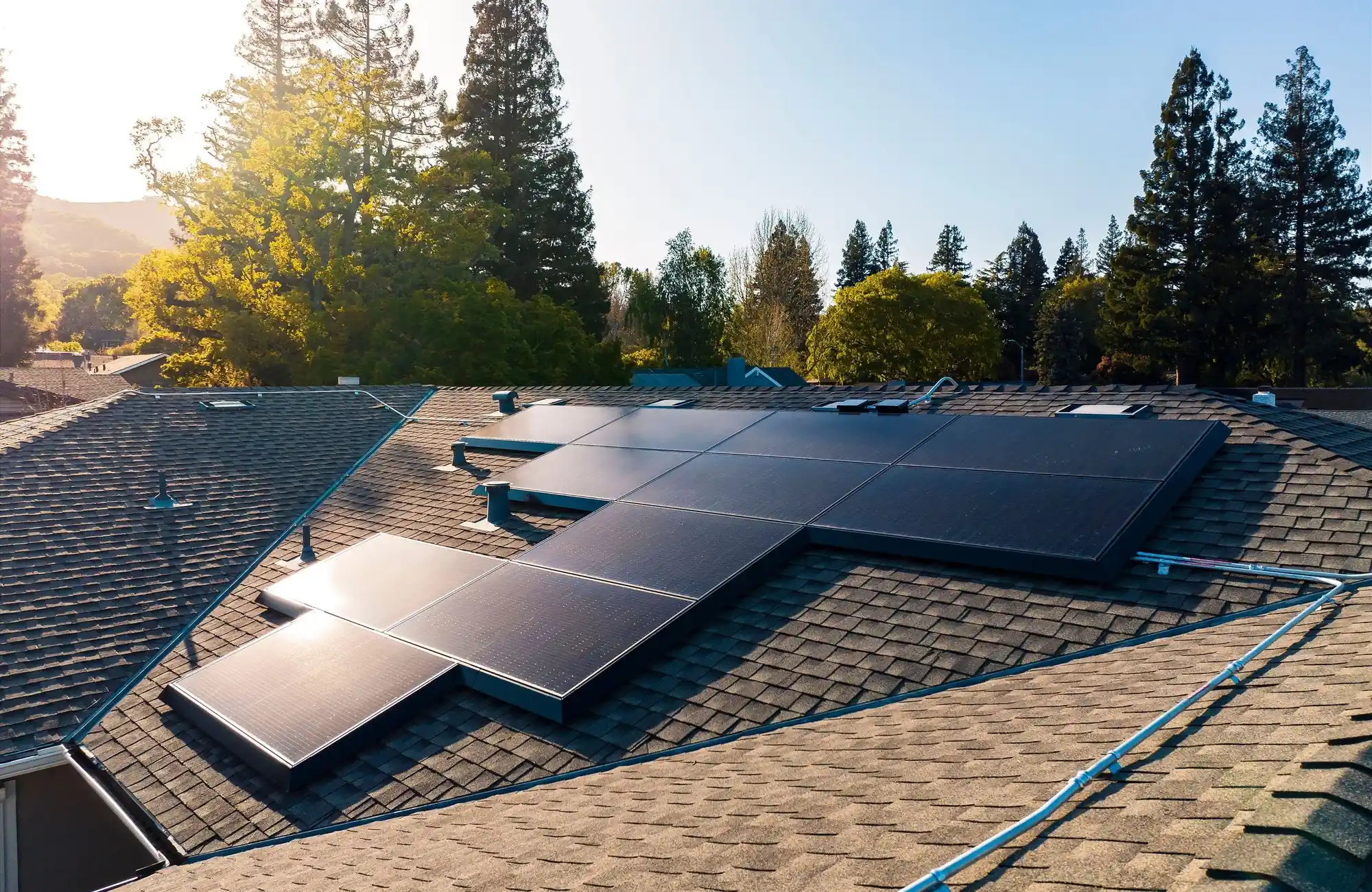 Rooftop solar panels on a house surrounded by tall trees under a clear blue sky. The sunlight casts subtle shadows on the panels, which are neatly arranged on the shingled roof.